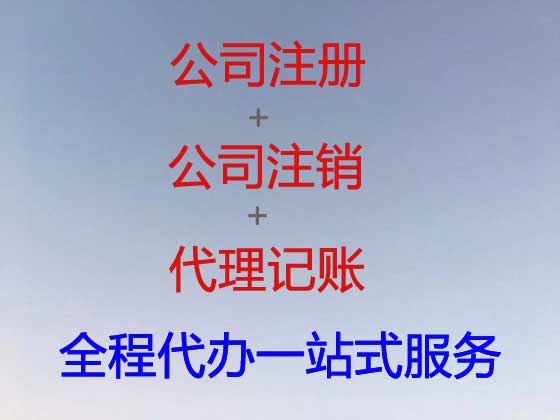 陇南公司注册-公司减资变更